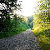 2012 - Deininger Weiher