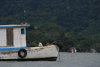IMG_8700.JPG