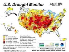 drought-monitor-july-20121-300x224 drought-monitor-july-20121-300x224