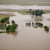 20110610-76_std.jpg