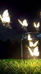 1939611_291305854359913_808013562_n