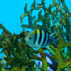 hokkaido_521.jpg