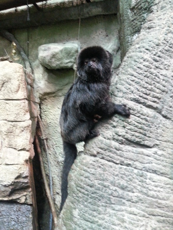 [2013-02-03%252012.31.59%255B7%255D.jpg]