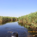 IMG_5658.JPG