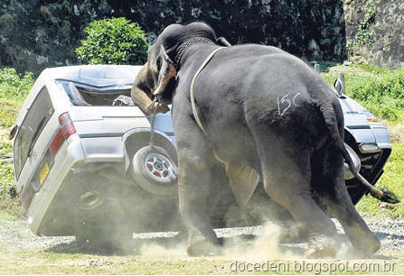 [saia%2520de%2520casa13%255B7%255D.jpg]