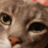 Eric and Alex Miscellaneous