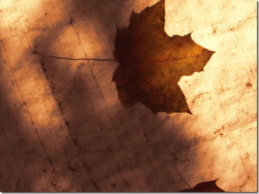 leafy_grunge_by_thiselectricheart leafy_grunge_by_thiselectricheart