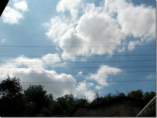 철천지DSC06702-20120627-134559 철천지DSC06702-20120627-134559
