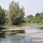 DSCN8299.JPG
