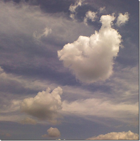 A cloud