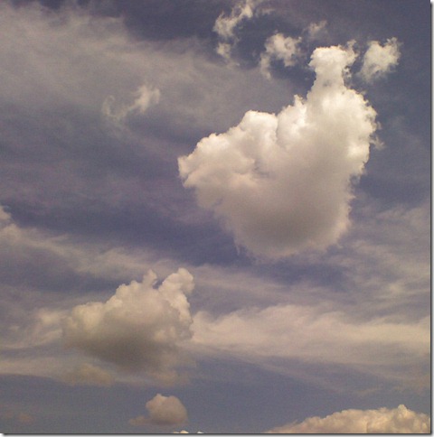 A cloud A cloud