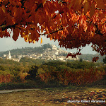 Bonnieux in Fall.jpg