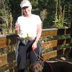 1st Annual Foot & Paw Haunted Haul - Dog & Owner Howloween Run 2012 1st Annual Foot & Paw Haunted Haul - Dog & Owner Howloween Run 2012