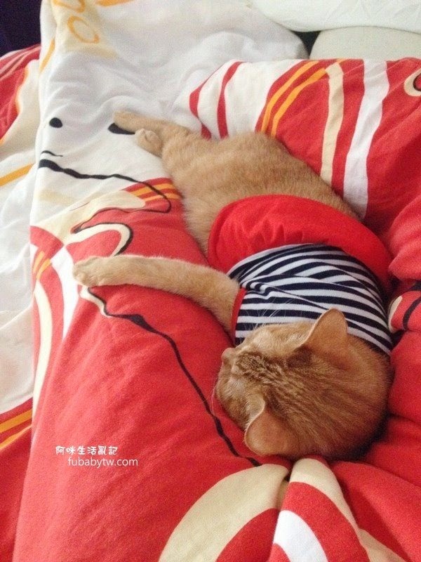 調整大小IMG_2364 調整大小IMG_2364
