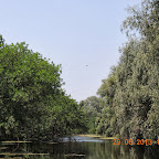 DSCN8371.JPG