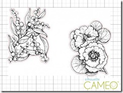 aussiefloralssilgraphic-copy-550x415 aussiefloralssilgraphic-copy-550x415