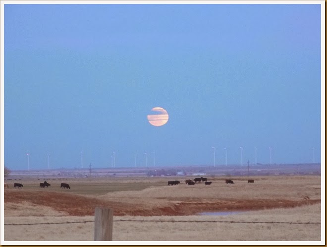 Moon January 2014 (13) Moon January 2014 (13)