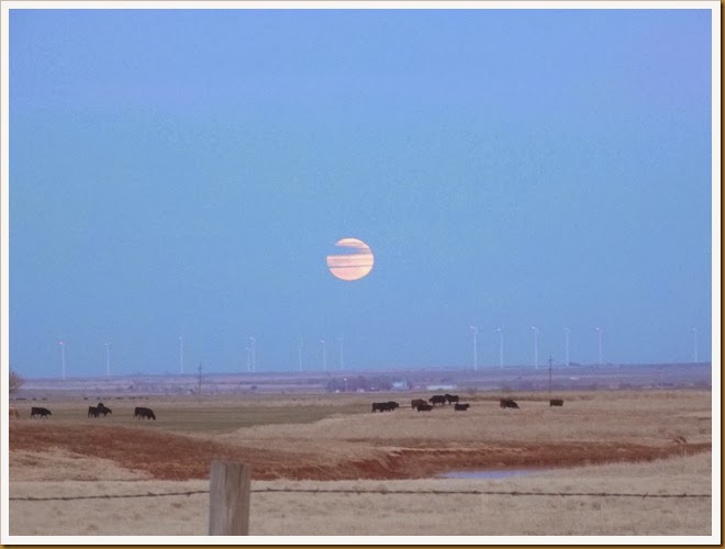 Moon January 2014 (13)