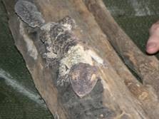 [clip_image002%255B13%255D.jpg]