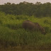 Img_1402
