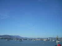 DSCN0245.JPG