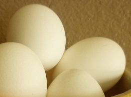 [eggs%255B3%255D.jpg]