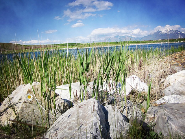[IMG_0895%2520copy%255B3%255D.jpg]
