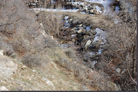DSC_0984 DSC_0984