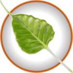 Bodhi Linux 1.2.1 and other Updates Bodhi Linux 1.2.1 and other Updates