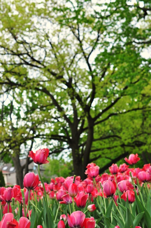 [DSC_98165.jpg]
