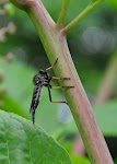 DSC_0878.jpg