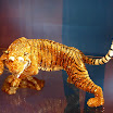 China3trip678.JPG