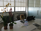 Now that we're finally in Martha's office, I call this meeting to order!