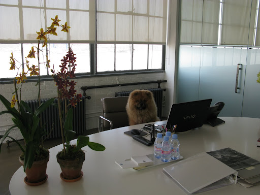 Now that we're finally in Martha's office, I call this meeting to order!
