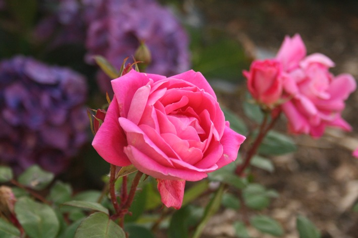 [IMG_9043.jpg]
