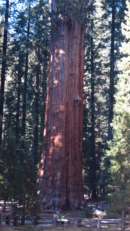 [Sequoia%2520NP28-13%2520Jan%25202012%255B6%255D.jpg]