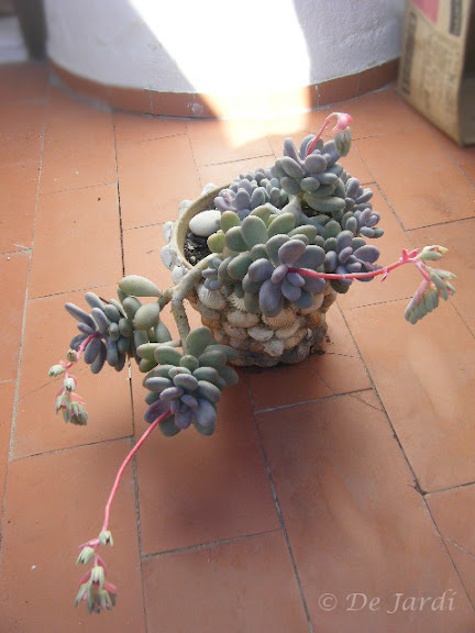 2013_02030018.jpg