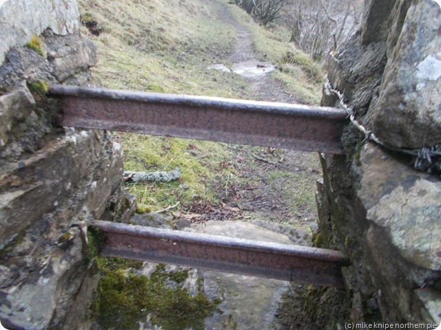 DSCN1076 DSCN1076