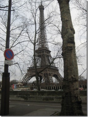 IMG_8081 IMG_8081