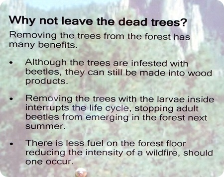 why remove dead trees