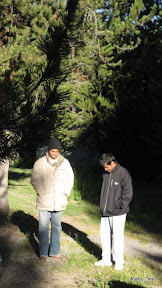 IMG_4002.jpg