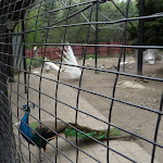 P1090695.JPG