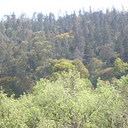 P1020040.JPG