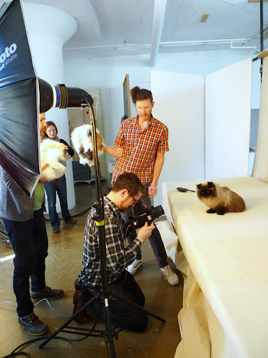 That's right Mr. Photographer - no one steals Bartok's thunder!