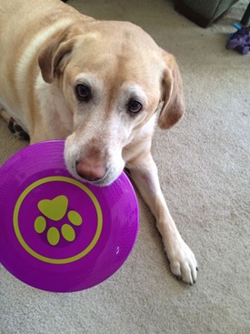 Millie Frisbee_m