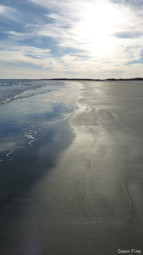 [North-Beach_1113.jpg]