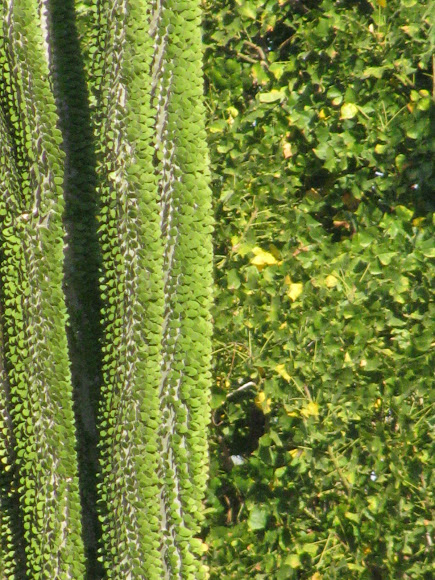 Spotting Image 1