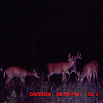 MDGC0003.JPG