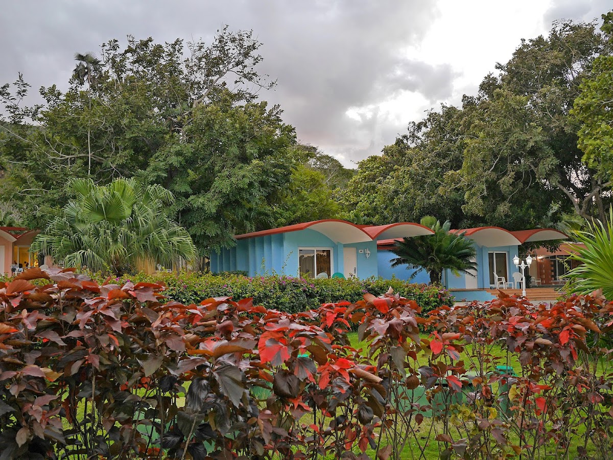 P1310545.jpg