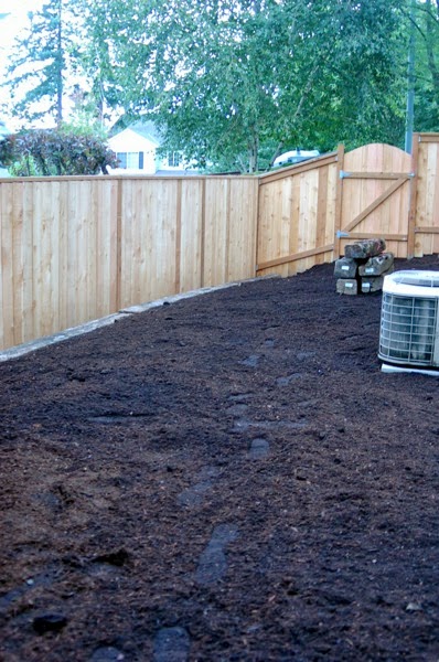 sideyard.JPG Sideyard